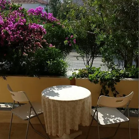 펜션 Zach's House *