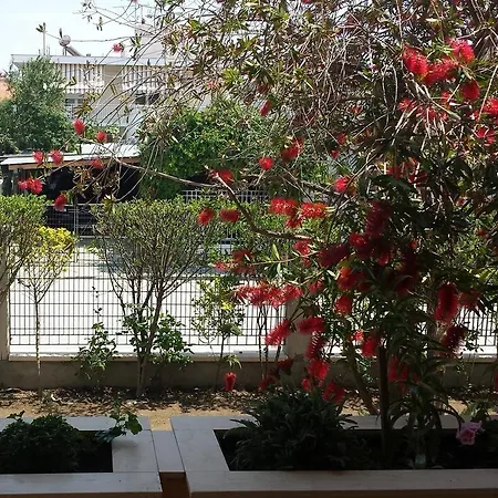 Zach's House 펜션 *