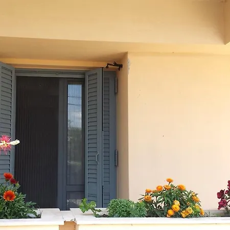 Zach's House 네아 로다