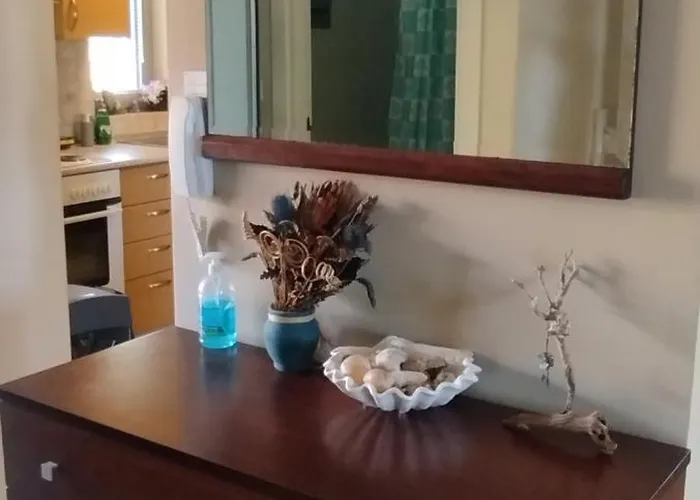 Zach's House