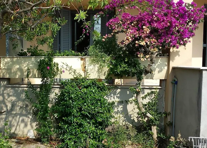 Zach's House *
