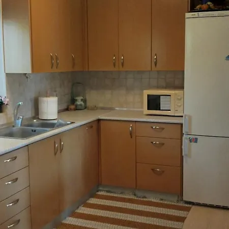Zach's House * ネア・ローダ
