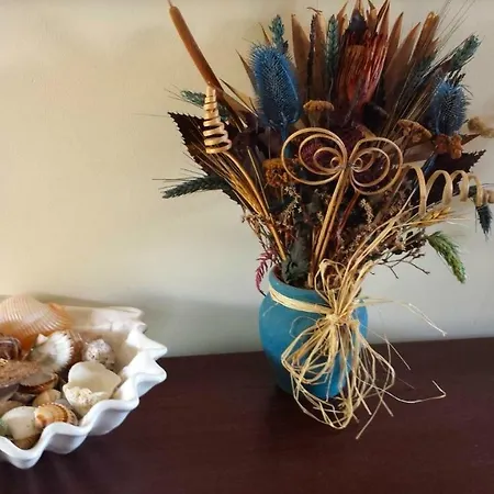 Zach's House Holiday home *